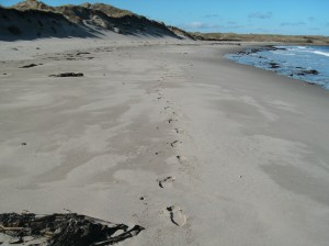 Footprints in sand