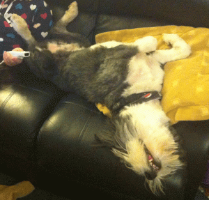 Photo-a-day 3: 'PEACE'