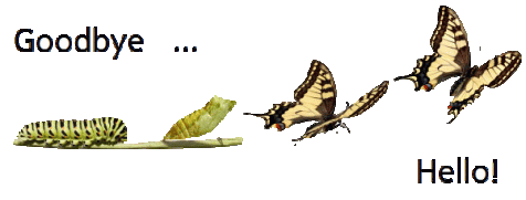 goodbye-hello picture