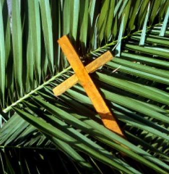 Palm Sunday cropped